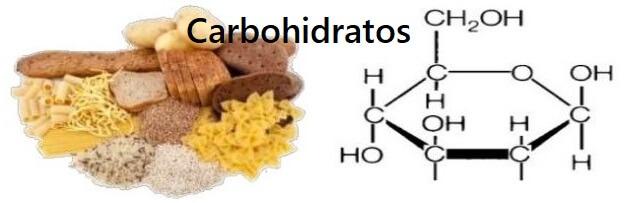Estructura de carbohidratos
