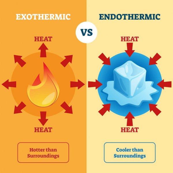 Reacciones endotérmicas y exotérmicas 