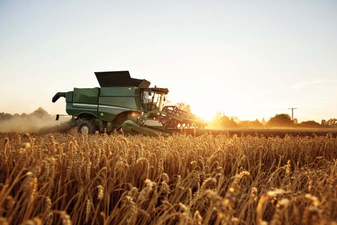 Principales áreas de producción agropecuaria y pesquera 