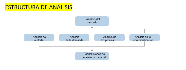 estructura 