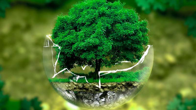 Problemas de deterioro ambiental