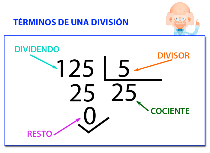 diviisiones